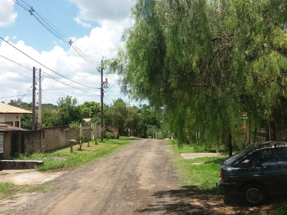 Galhos de árvores atrapalham tráfego de ônibus em diferentes vias do bairro